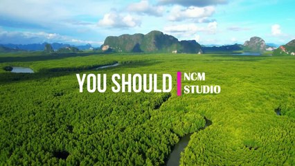 You Should - Patrick Patrikios  Pop Music, Funky Music, Travel Music, Positive Vibes Music