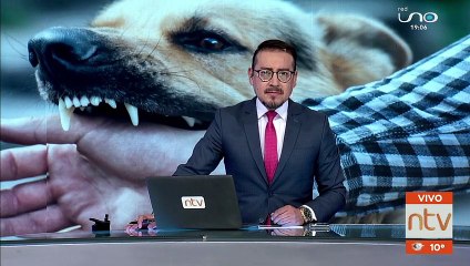 Un caso sospechoso de rabia humana