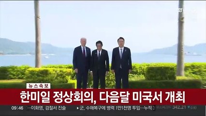 [속보] 한미일 정상회의, 다음달 미국서 개최