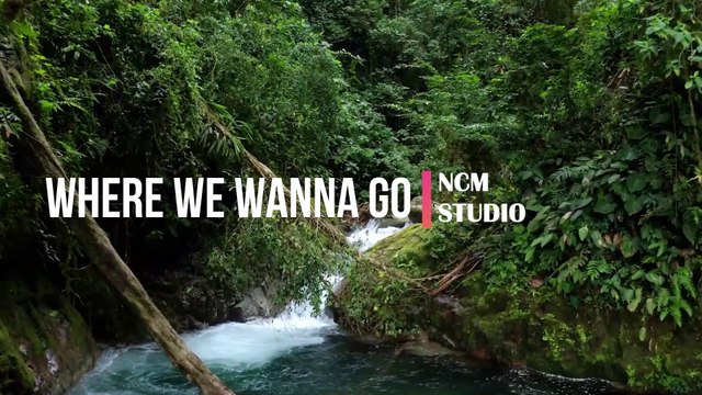 Where We Wanna Go - Patrick Patrikios Pop Music, Funky Music, Revenge Music, Action Music