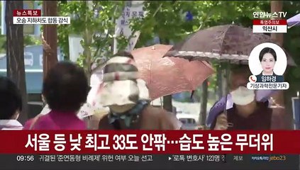 서울 '낮 최고 33도' 전국 폭염특보…주말 다시 비