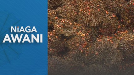Industri minyak sawit Malaysia akan raih manfaat penyertaan UK dalam CPTPP - Penganalisis