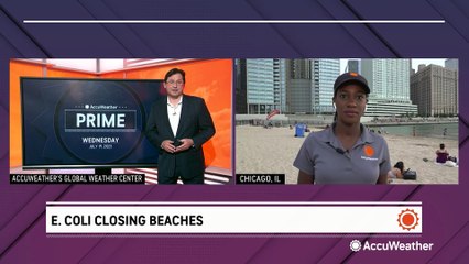 Increasing number of beaches forced to close due to high bacteria levels