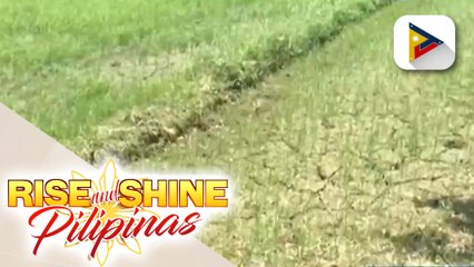 National El Niño Team, muling nagpulong para paghandaan ang epekto ng El Niño