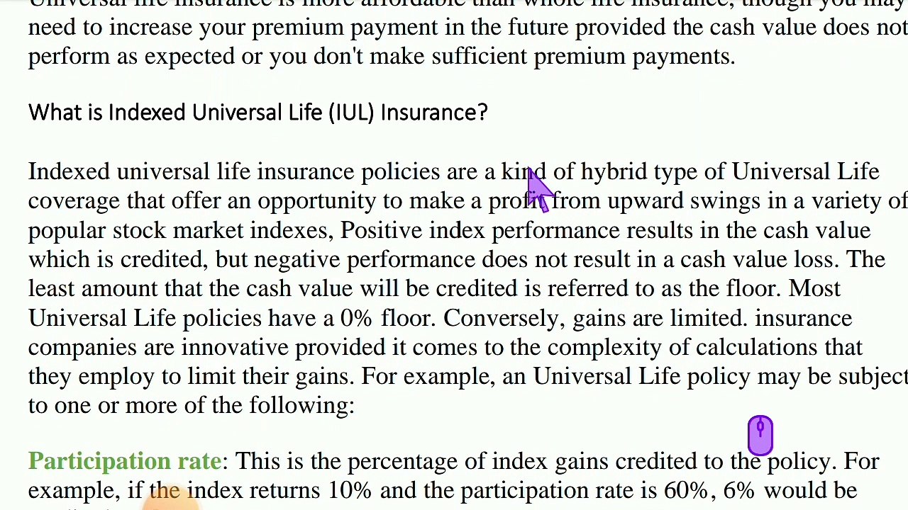 What are the Different Types of Life Insurance