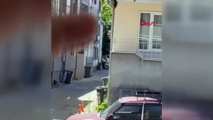 Abeilles en germination à İnegöl déplacées vers la ruche