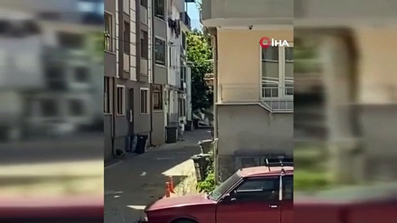 Des milliers d'abeilles s'échappant de la ruche ont fait un fils sur le balcon de l'appartement.