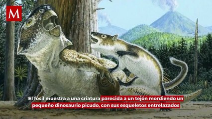 Mamíferos vs. Dinosaurios: El fascinante registro fósil de la lucha por la supervivencia
