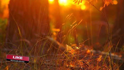 8D muSic | Rock muSic | MuSic for Headphones  5