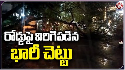 Public Facing Issues Over Heavy Tree Falls On Road | V6 News