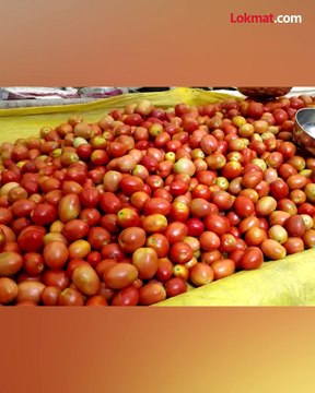 पुण्यातल्या टोमॅटो चोरले पोलीस तपास करणार का_1