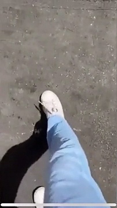 Roma, l’asfalto si scioglie per il caldo