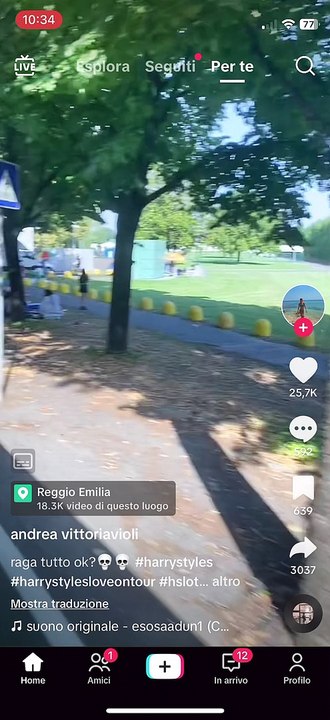 Fan già in fila per il concerto di Harry Styles a Campovolo