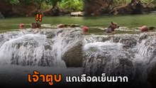 ตูบโผล่กลางน้ำตกแล้วทำแบบนี้ นุดเล่นน้ำอยู่ดี ๆ วงแตกสิครับ !