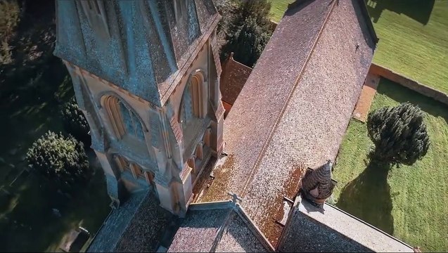 In Its Wake Bande-annonce VO