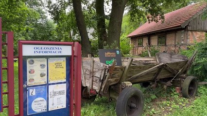 Wielki Dzień Pszczół w Złotowie