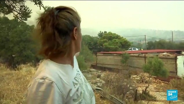 Greece heatwave: Wildfires raze forests, spur evacuations