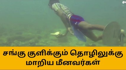 ராமநாதபுரம்: சங்கு குளிக்கும் மீனவர்கள் - அரசுக்கு கோரிக்கை!