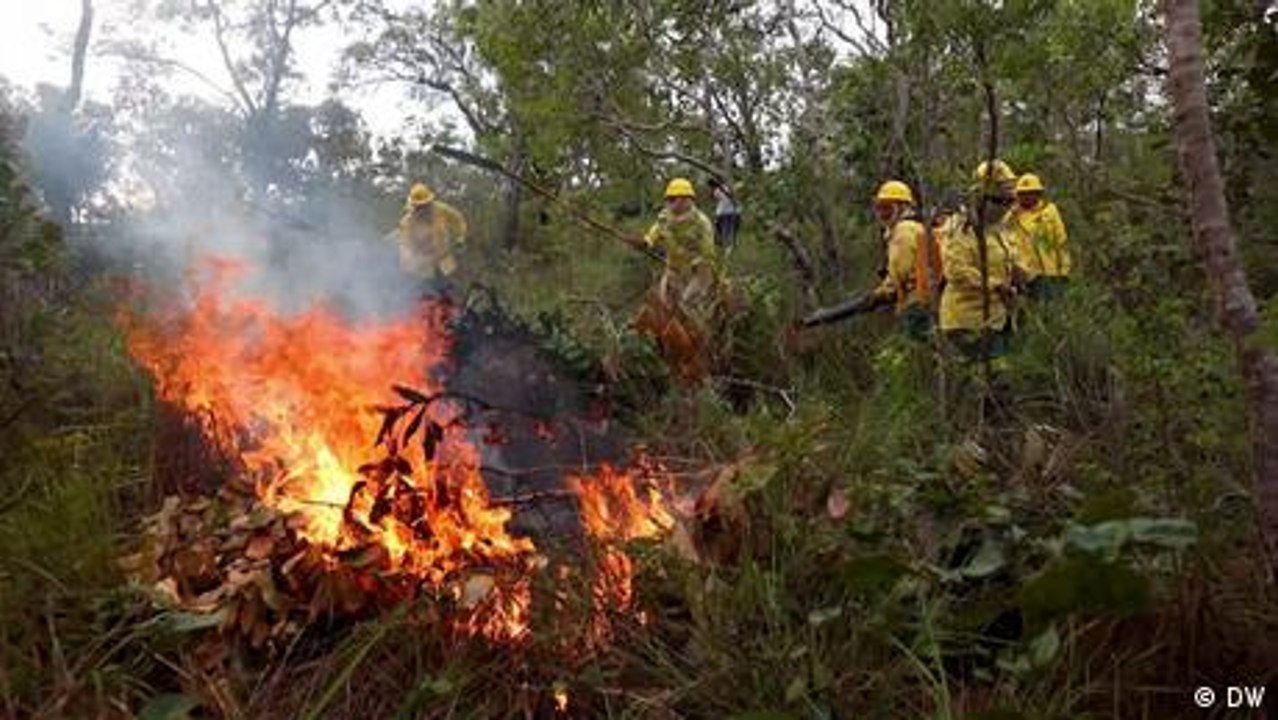 Indigene Feuerwehrfrauen schützen den Regenwald