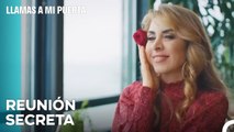 Eres Una Mujer Como Una Flor - Llamas A Mi Puerta Capítulo 98