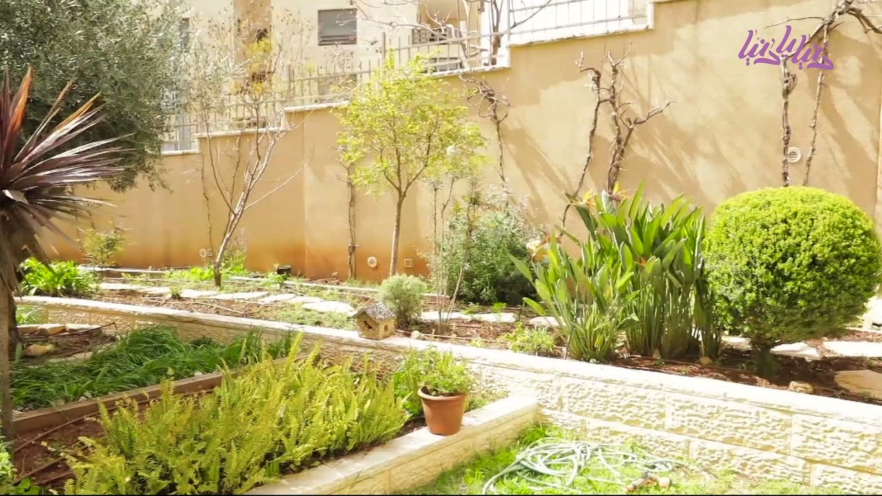 الرشتاية بالعدس أكثر من مجرد طبق شعبي، فن لذيذ من التراث الفلسطيني