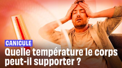 Canicule : Quelle température maximale notre corps peut-il supporter ?