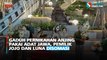 Gaduh Pernikahan Anjing Pakai Adat Jawa, Pemilik Jojo dan Luna Disomasi