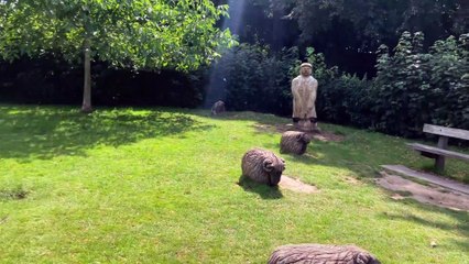 Official: Horsham Park is one of the best in Britain