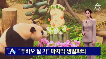 “푸바오 잘 가”…국내 마지막 생일파티 ‘북적’