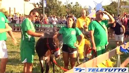 Video News - ATTESA PER IL PALIO DEGLI ASINI