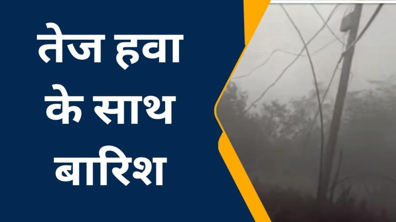 तेंदूखेड़ा: तेज हवा के साथ झमाझम बारिश, कई पेड़ उखड़े, आवागमन हुआ बाधित