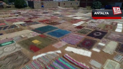 Antalya'da binlerce halının serildiği tarlalar renklendi