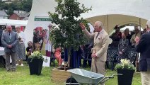 King Charles III plants an oak sapling in Brecon