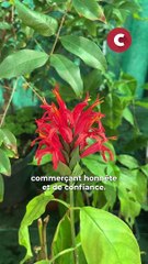 « Cette taxe injuste va ruiner notre export et mon entreprise » déplore une commerçante de Saint-Paul.