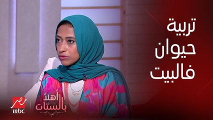 اعرفي إزاي تخلي طفلك يشيل مسؤلية تربية حيوان في البيت