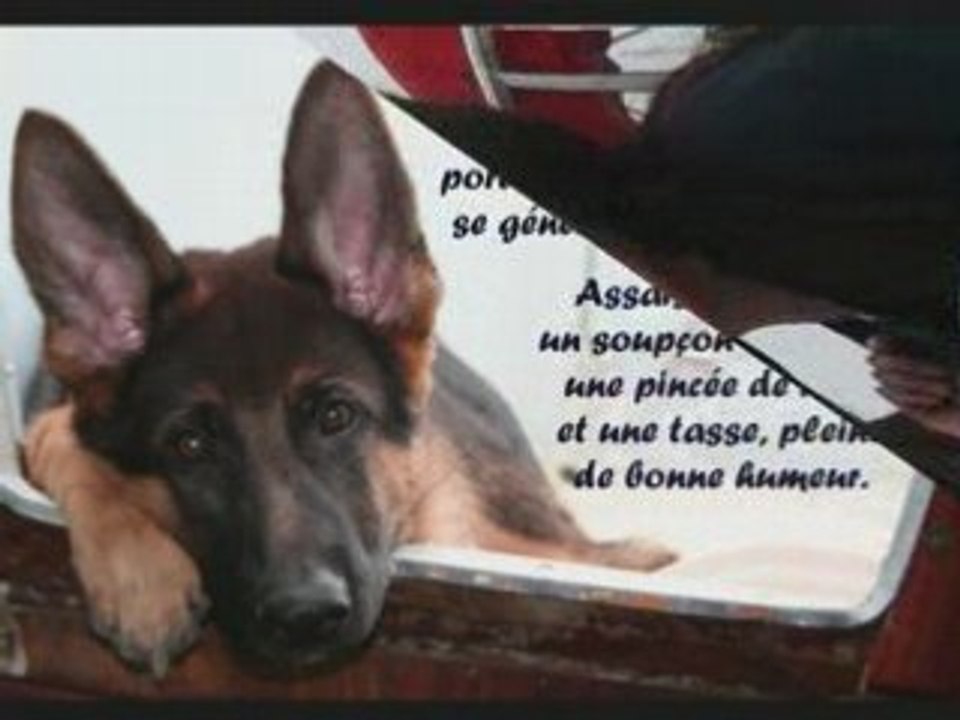 Recette du bonheur