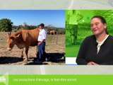 Le bien-être animal au cœur de l'agriculture - Place aux paysans - TL7, Télévision loire 7
