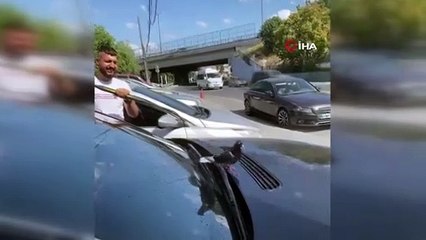 Sıcaktan bunalan kuş yıkanan arabaya atladı