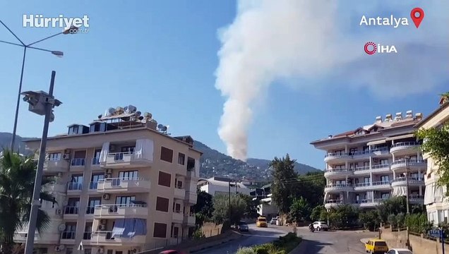 Alanya'da orman yangını: Havadan ve karadan müdahale ediliyor