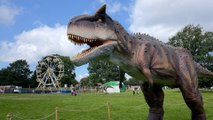 Dinosaurs in the Park: Head down to Heaton Park to see huge life-size dinosaurs and take part in fun dinosaur-themed activities this summer