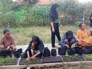 Mahasiswa KKN di Darim Bagikan 10 Bibit untuk Satu Rumah