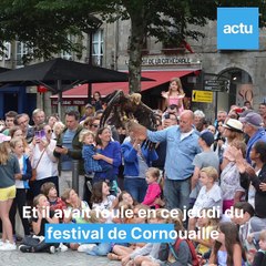 vols-des-oiseaux-de-ciels-de-legendes-a-quimper (1)