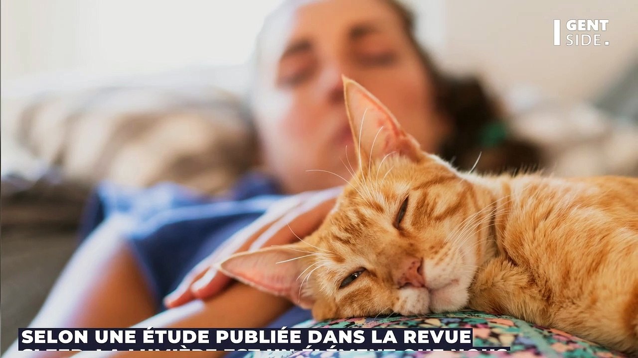 Selon la science, cette astuce simple permettrait d’obtenir un excellent sommeil et d’améliorer ses fonctions cognitives