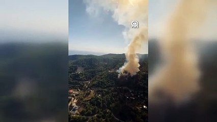 Alanya'da çıkan orman yangını kontrol altına alındı