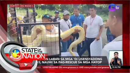 Operasyon laban sa mga 'di lisensyadong armas, nauwi sa pag-rescue sa mga hayop | SONA