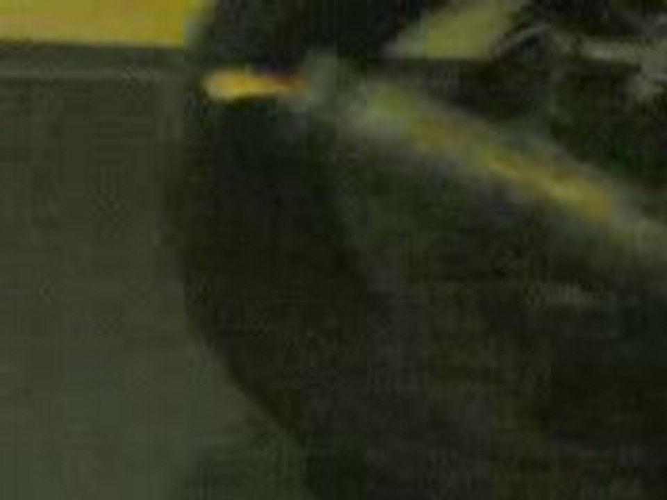 Ruptures rupteur XR6 pot malossi