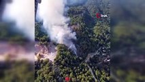 Antalya'da Alanya ilçesinde orman yangını