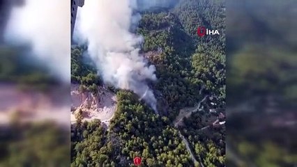 Antalya'da Alanya ilçesinde orman yangını