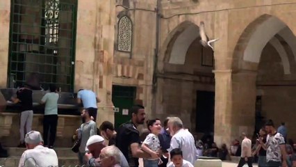 حمام المسجد الاقصى المبارك