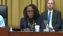 Stacey Plaskett excoriates House Republicans for inviting conspiracist Robert F Kennedy Jr to testify